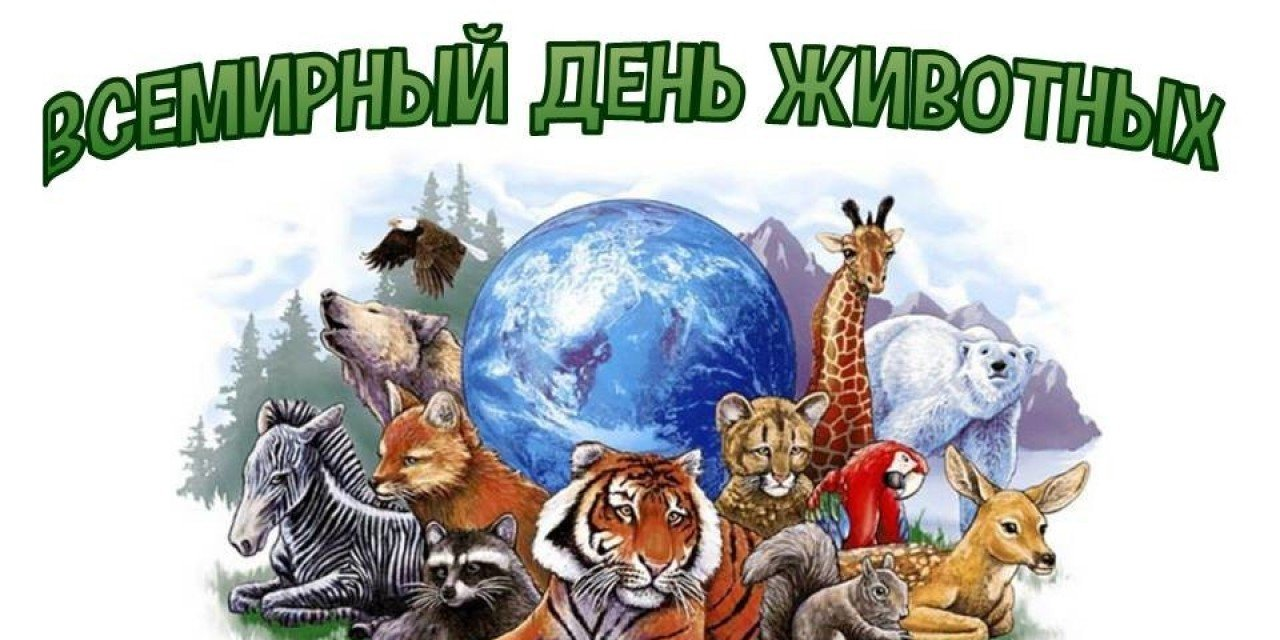 изображение_2022-10-05_123751421